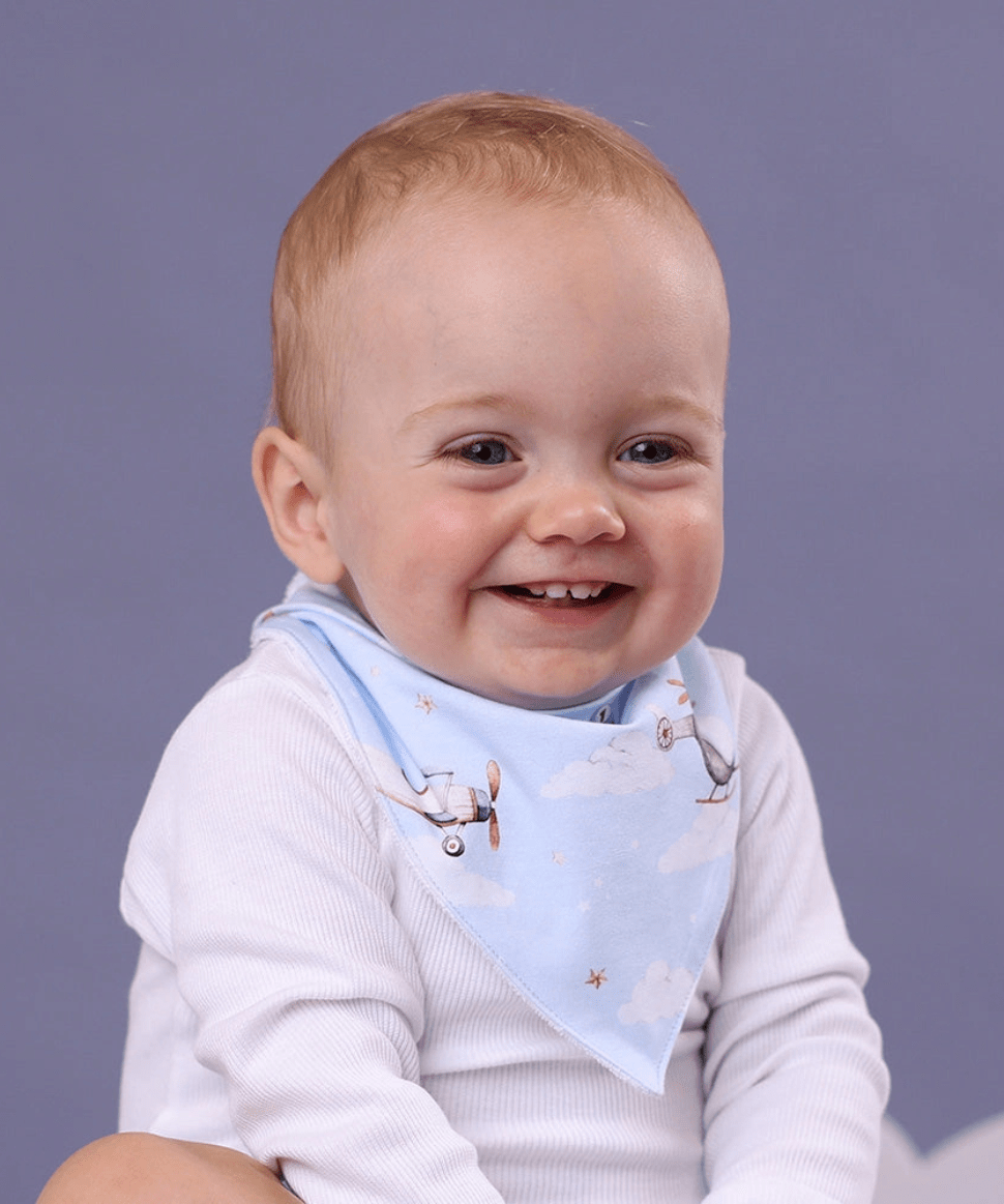 Taking Flight Organic Dribble Bib Snuggle Hunny Baby Preggi Central Maternity Shop Taking Flight Organic Dribble Bib Snuggle Hunny Baby Preggi Central Maternity Shop