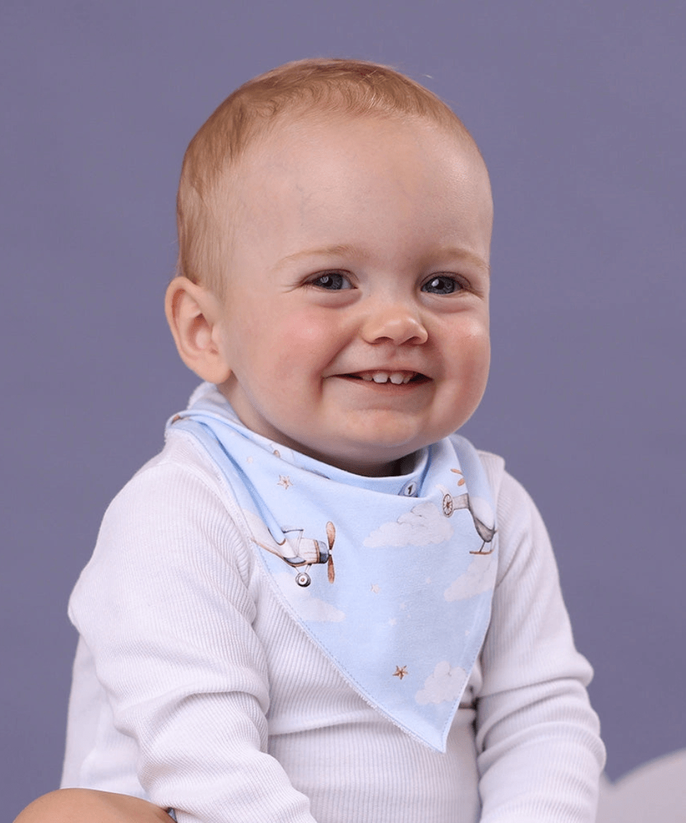 Taking Flight Organic Dribble Bib Snuggle Hunny Baby Preggi Central Maternity Shop Taking Flight Organic Dribble Bib Snuggle Hunny Baby Preggi Central Maternity Shop