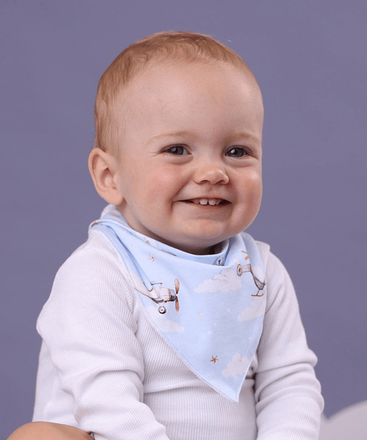 Taking Flight Organic Dribble Bib Snuggle Hunny Baby Preggi Central Maternity Shop