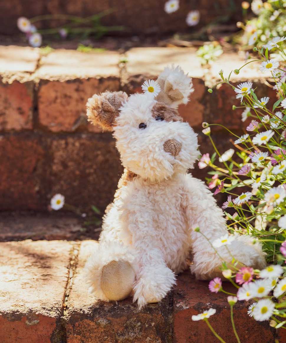 Buddy the Pup Nana Huchy Baby 9355522004281 Preggi Central Maternity Shop Buddy the Pup Nana Huchy Baby 9355522004281 Preggi Central Maternity Shop