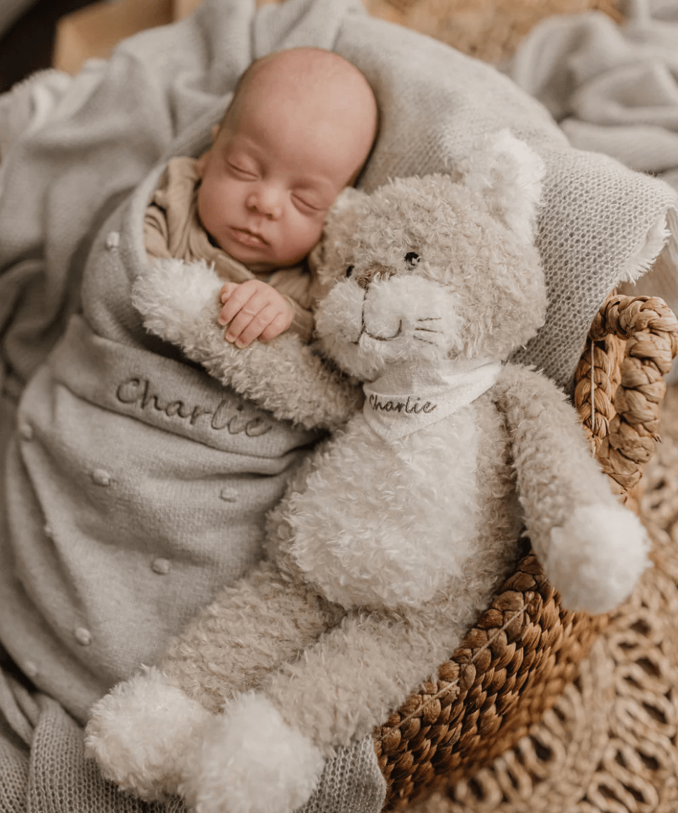 Checkers the Cat - Grey Nana Huchy Baby Preggi Central Maternity Shop