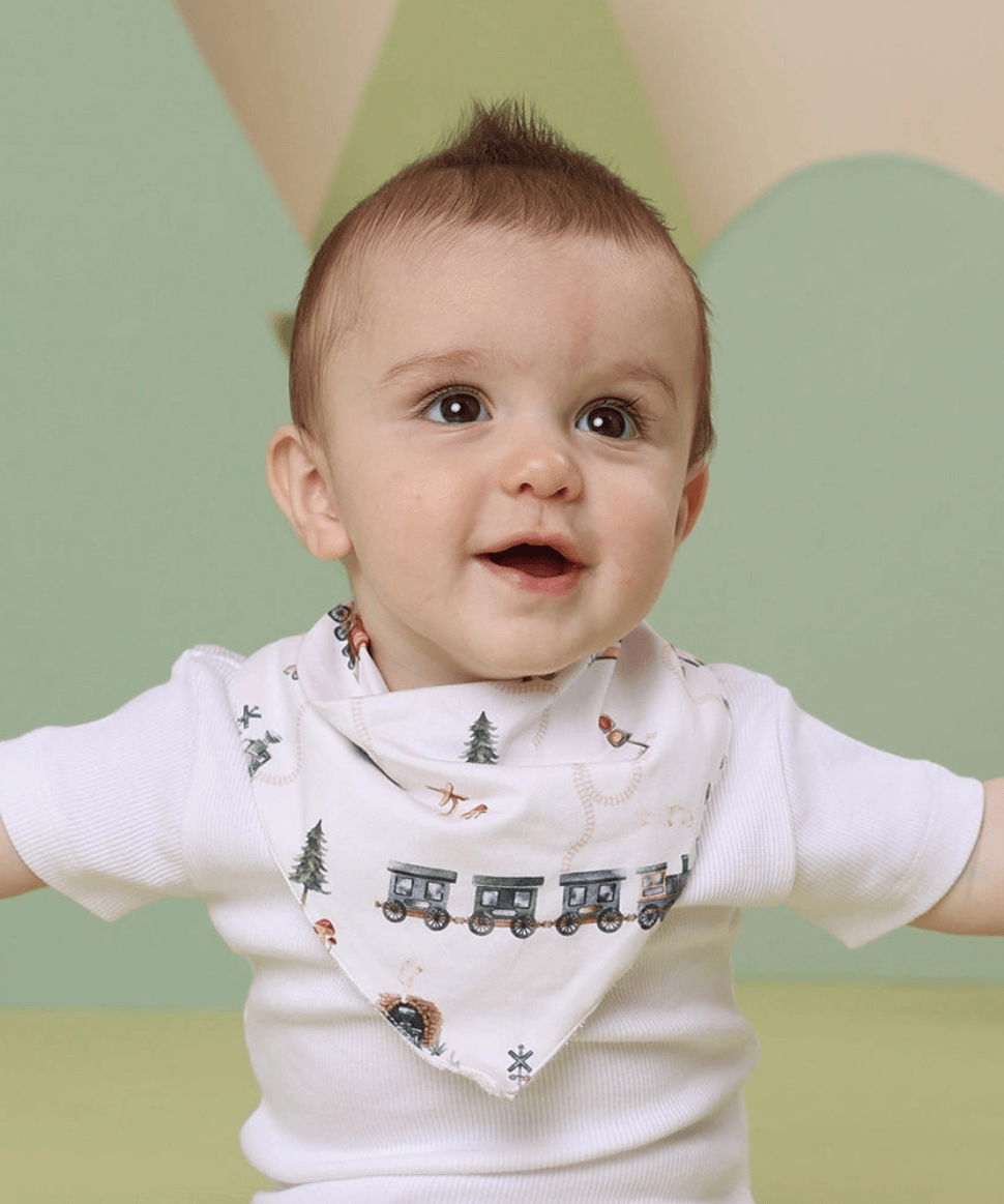 Trains Organic Dribble Bib Snuggle Hunny Baby 9357334035569 Preggi Central Maternity Shop