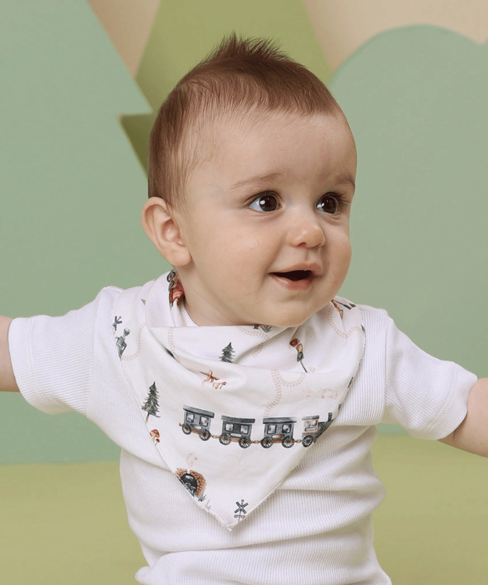Trains Organic Dribble Bib Snuggle Hunny Baby 9357334035569 Preggi Central Maternity Shop
