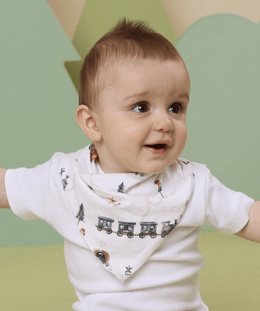 Trains Organic Dribble Bib Snuggle Hunny Baby 9357334035569 Preggi Central Maternity Shop
