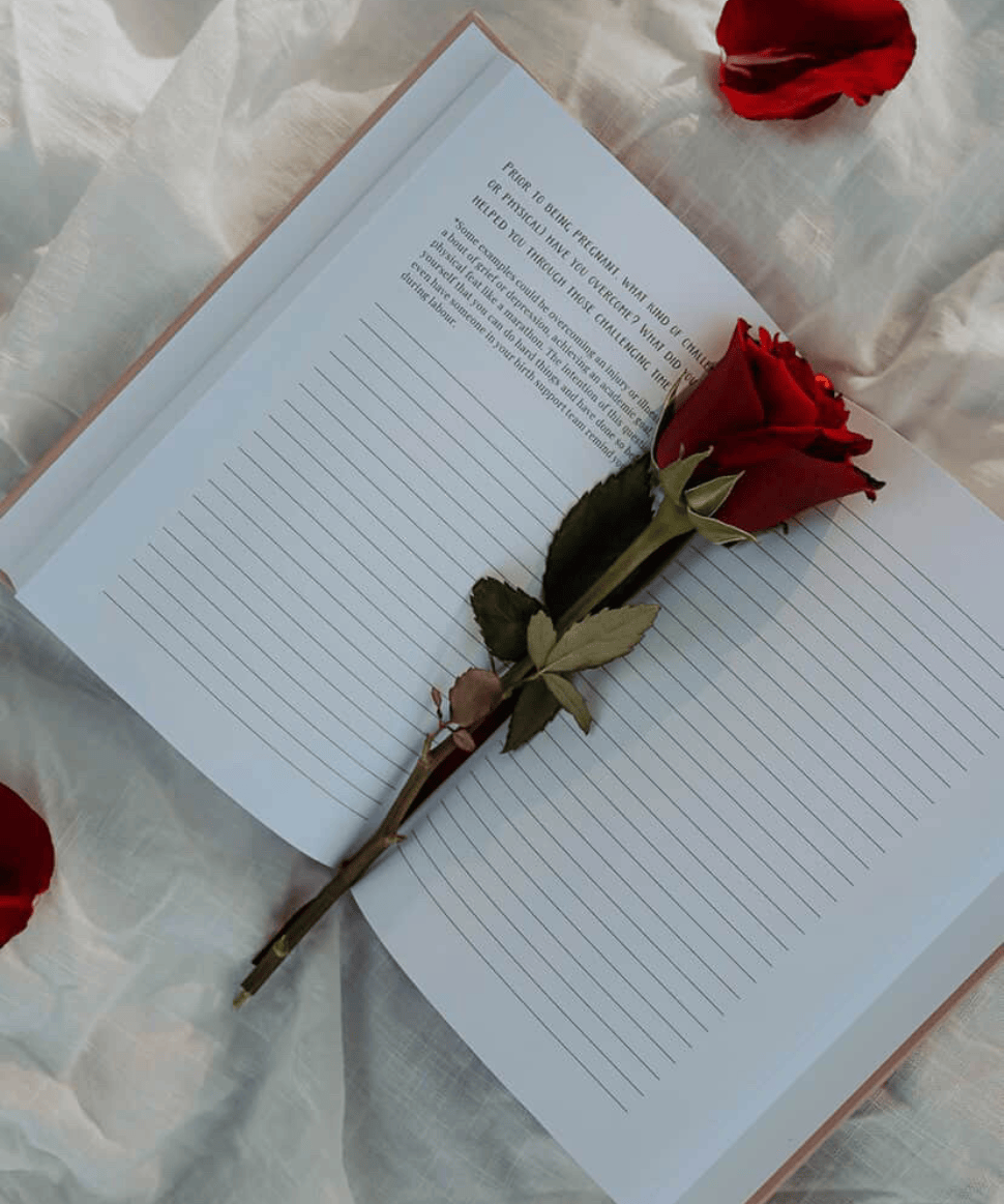 Dear Me Mother-To-Be Journal Dear Me Mother-To-Be Other Preggi Central Maternity Shop