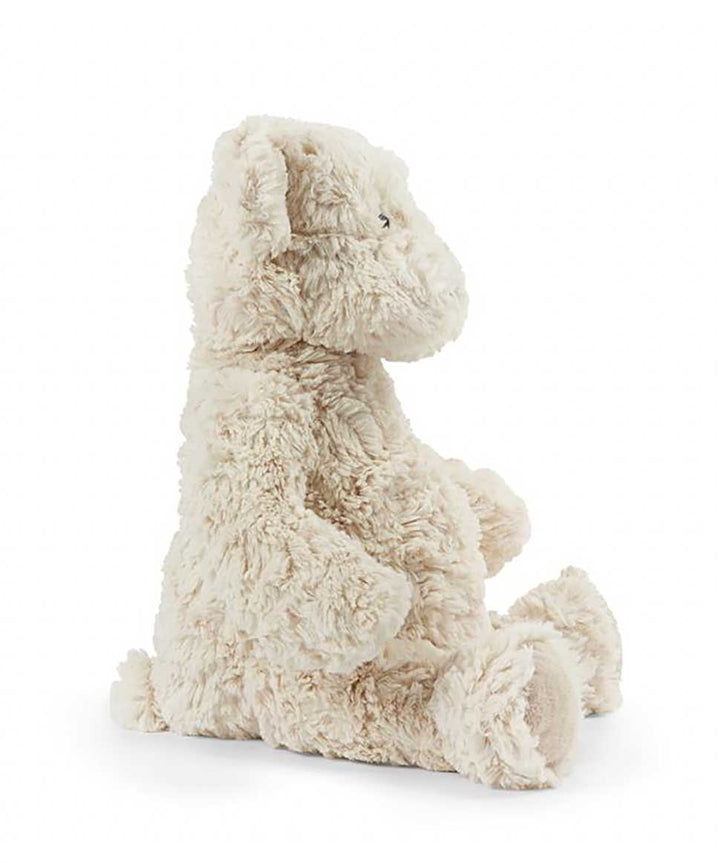 Freddy The Teddy-Cream Nana Huchy Baby 9355522001693 Preggi Central Maternity Shop